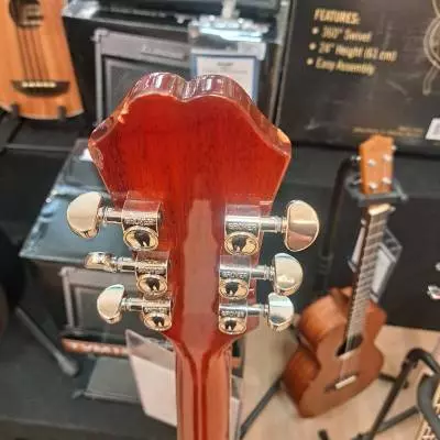 Epiphone - EEHBFCNH 2